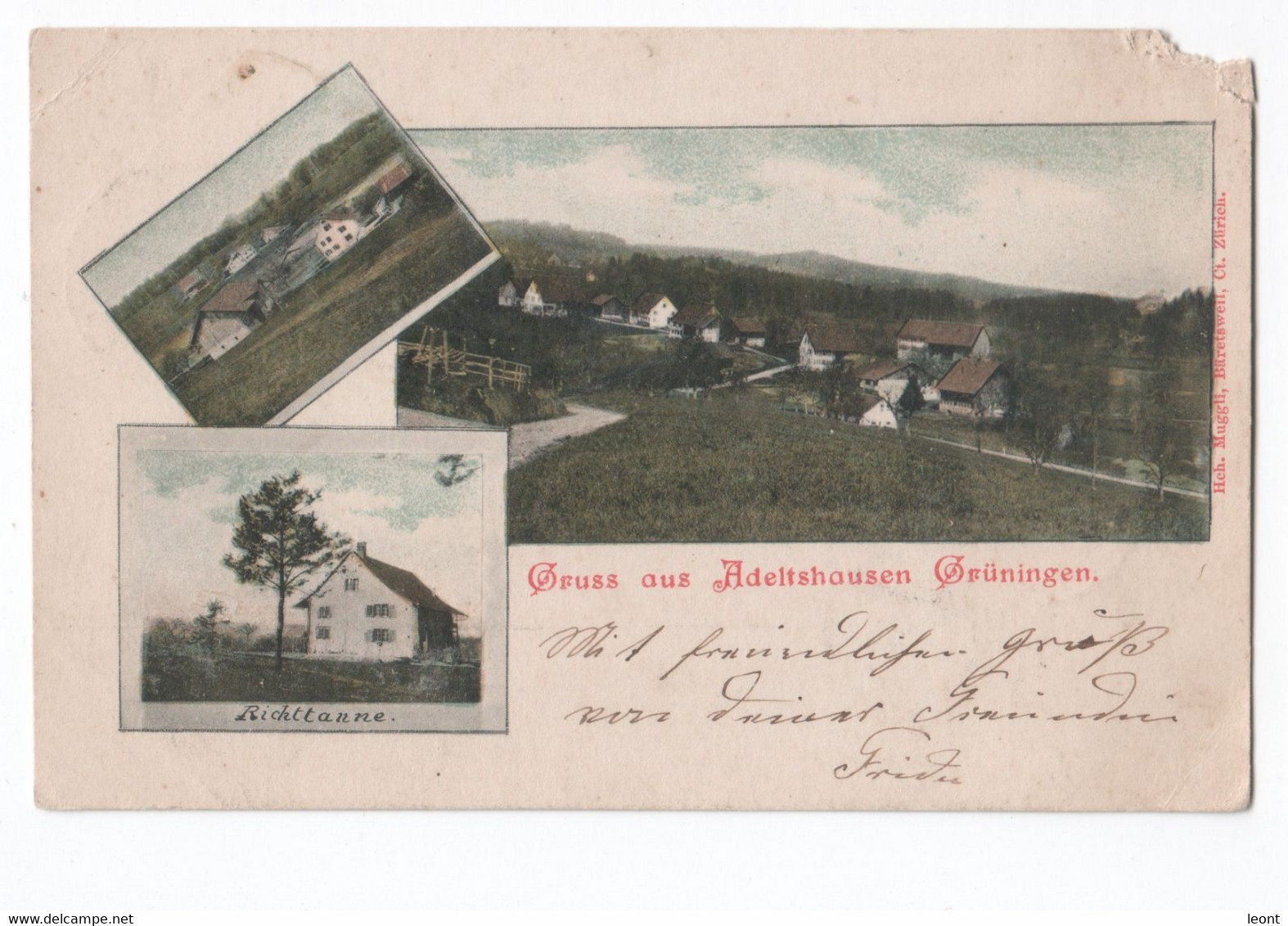 Switzerland - Gruningen - Gruss Aus Adeltshausen - Richttanne - 1901 - Muggli - Grüningen