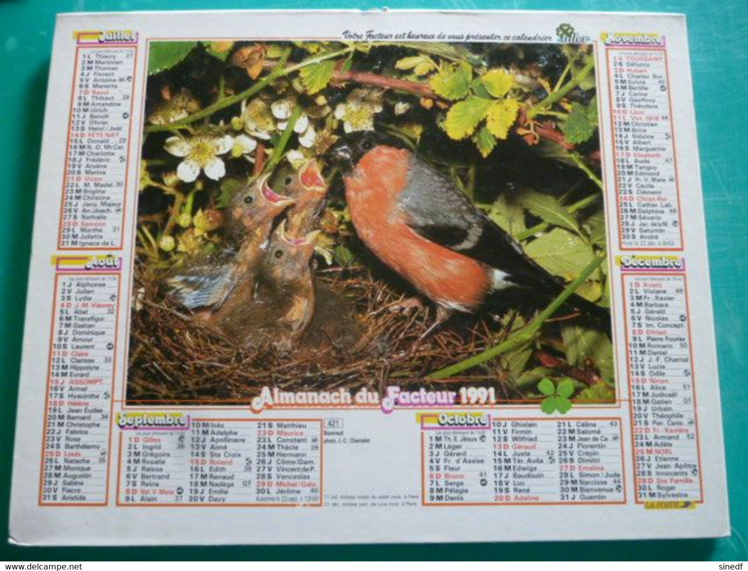 Calendrier 1991 Oller Oiseau Rouge Gorge  Bouvreuil Almanach Facteur PTT POSTE Département Sarthe - Grand Format : 1991-00