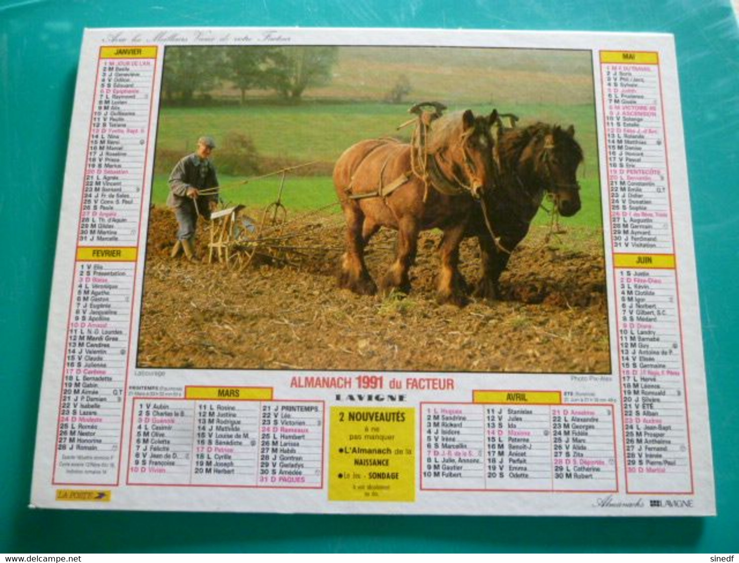 Calendrier 1991 Lavigne   Labourage Cheval Berger Et Moutons Almanach Facteur PTT POSTE Département Sarthe - Grand Format : 1991-00