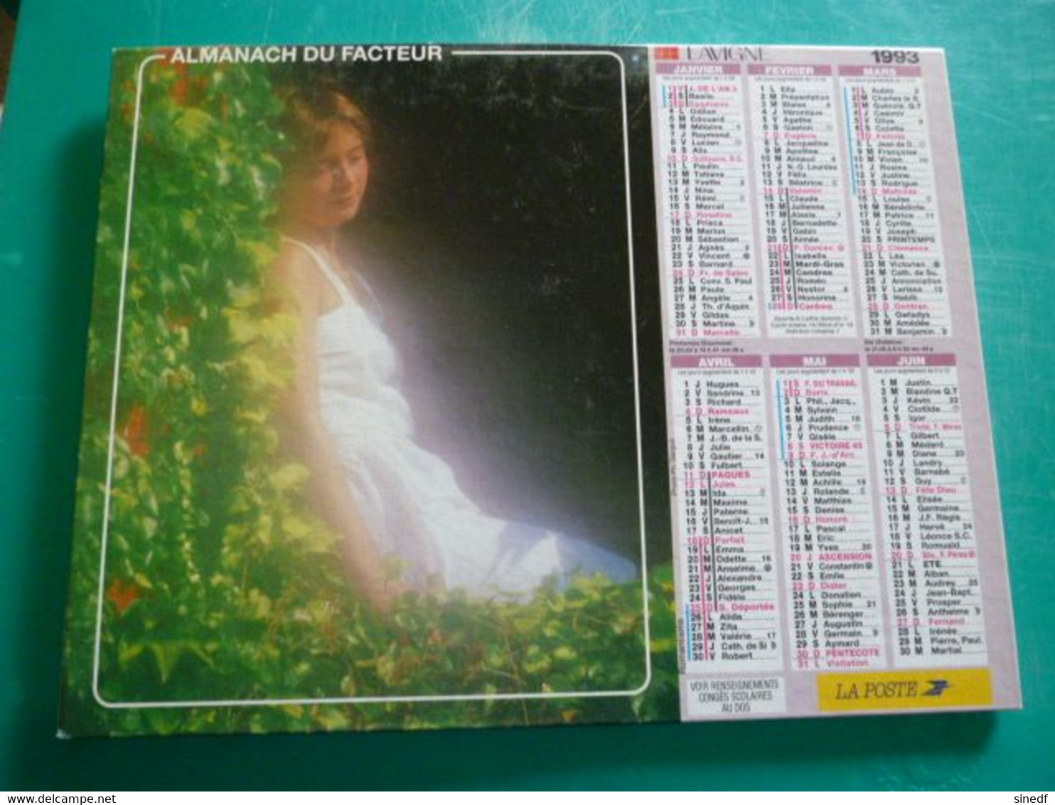 Calendrier 1993 Lavigne Femme Romantique Erotique Almanach Facteur PTT POSTE Département Sarthe - Grand Format : 1991-00