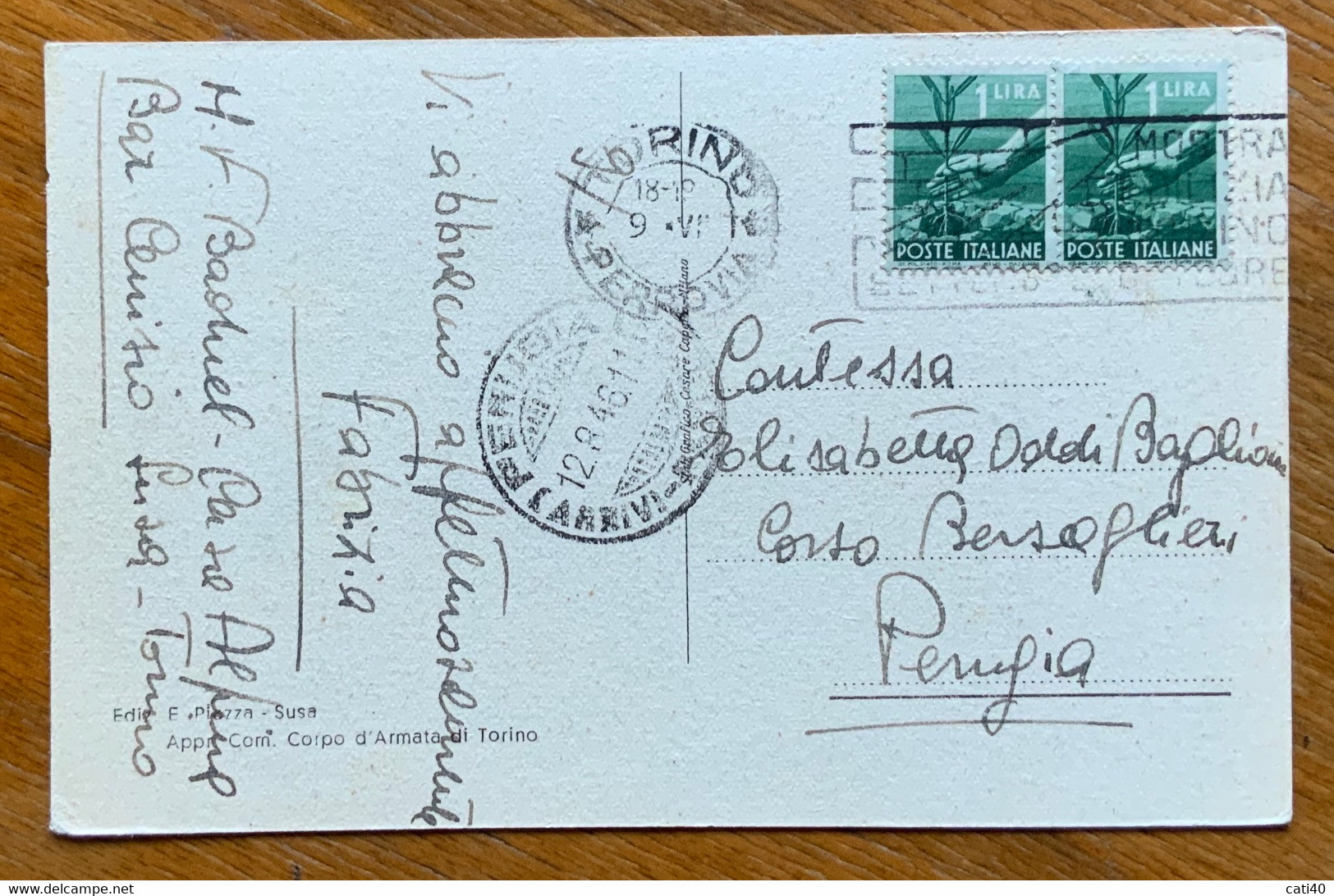 BAR CENISIO - VALLE DI SUSA - VEDUTA ESTIVA - VIAGGIATA IL 9/8/46 -   AA485 - Parks & Gärten