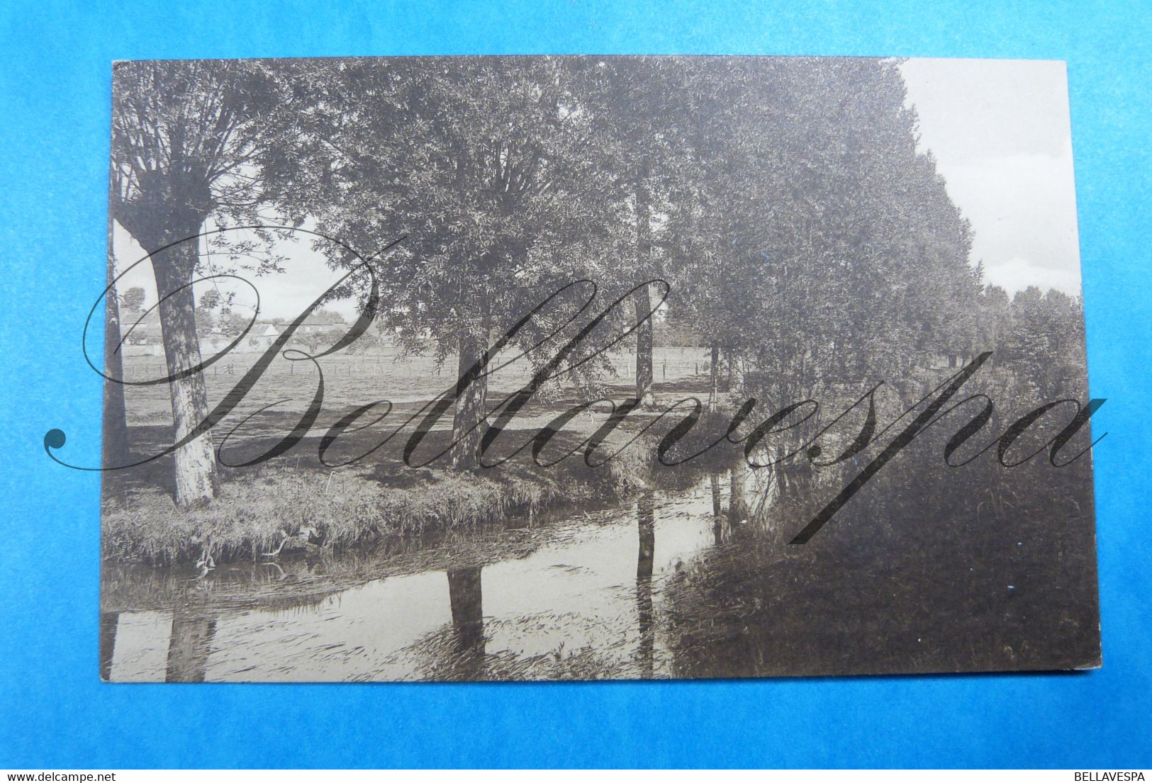 Bruggelette Vallée De La Dendre De Dender. Prise Au Parc. 1931 - Brugelette