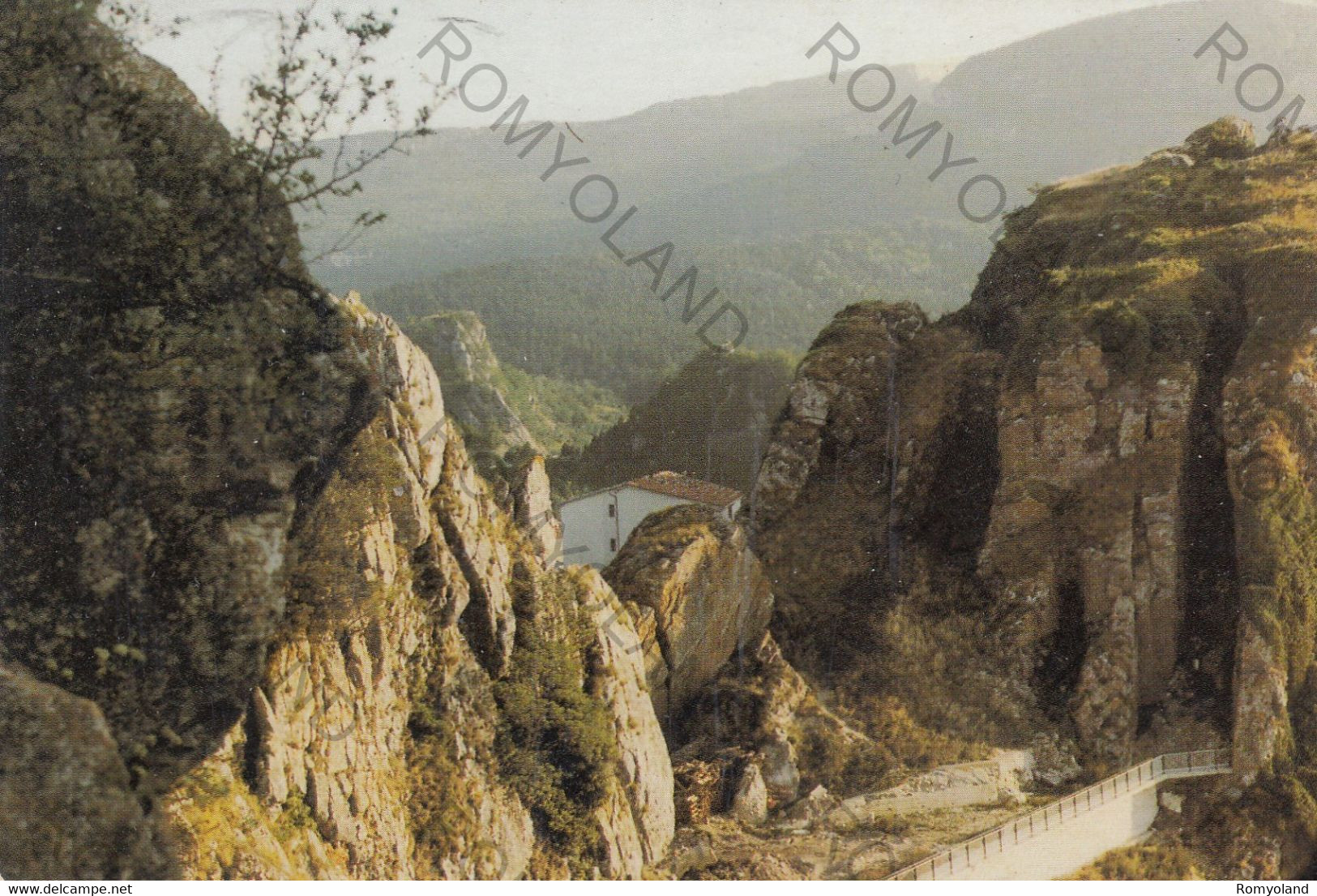 CARTOLINA  PESCOPENNATARO M.1237,ISERNIA,MOLISE,BELVEDERE,MONTAGNA,VACANZA,LA NEVE,SCIARE,BELLA ITALIA,VIAGGIATA 1989 - Isernia