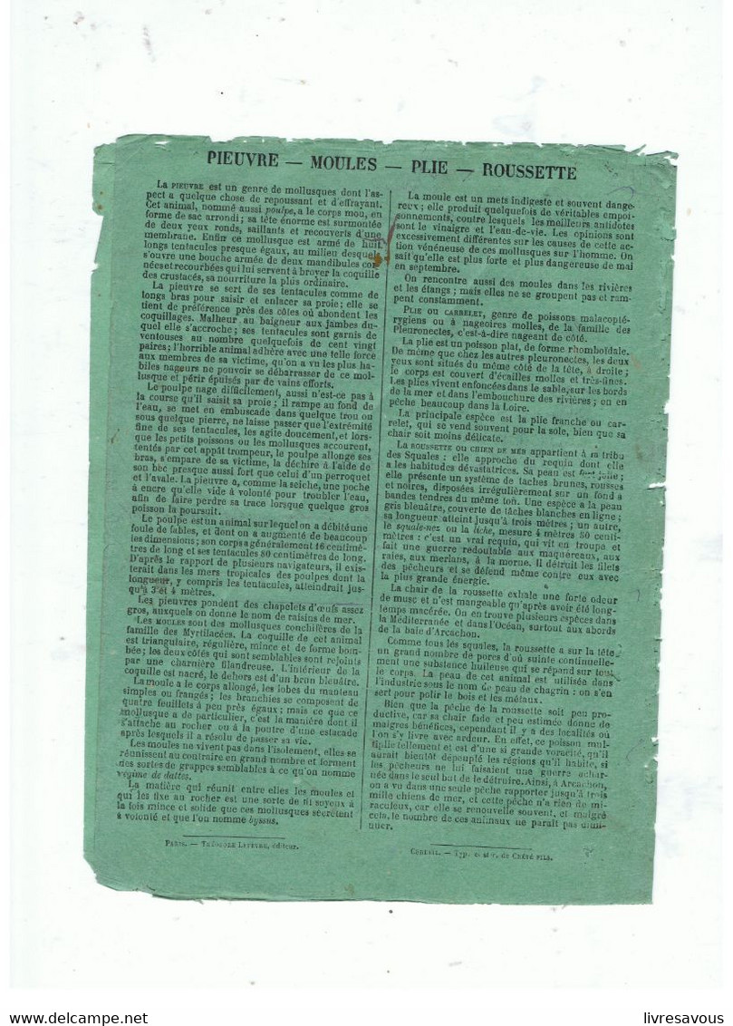 Couverture De Cahier Pieuvres Moules Plie Rousette Histoire Naturelle N°118 De 1877 - Protège-cahiers