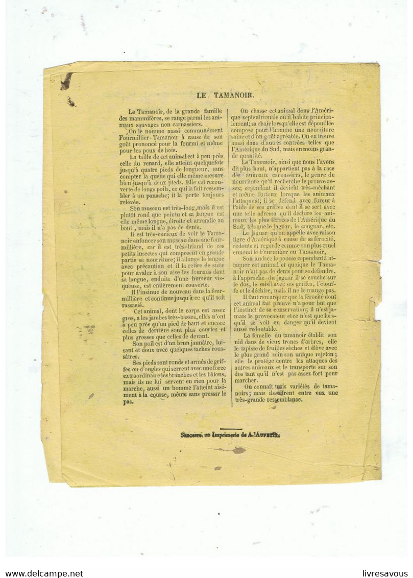 Couverture De Cahier Collection Choisie Pour Les Classes Le Tamanoir De 1875 - Protège-cahiers