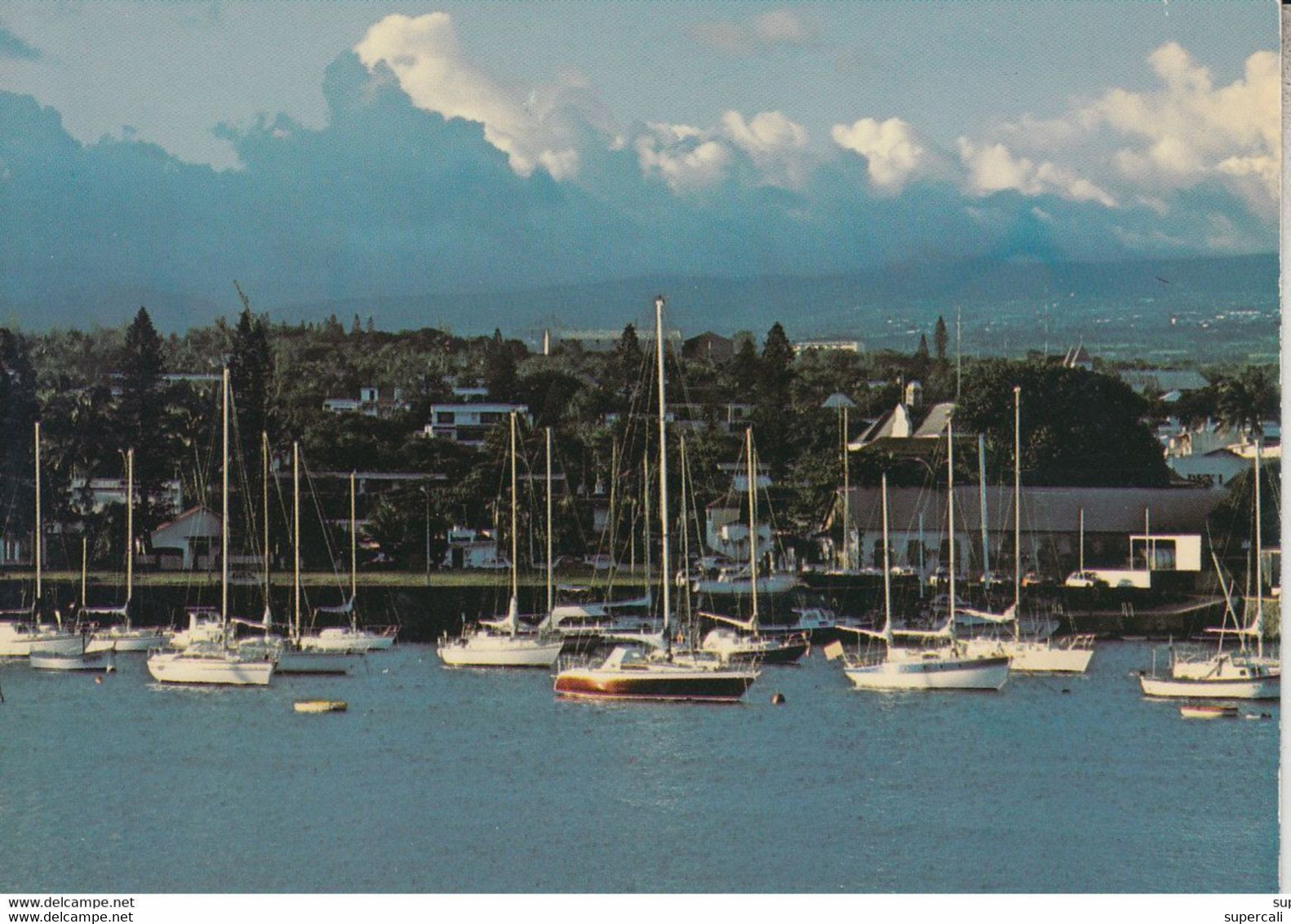 RT29.027  ILE DE LA REUNION . SAINT -PIERRE. PORT DE PLAISANCE.VOILIERS - Saint Pierre