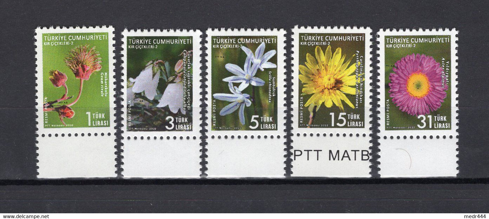 Turkey/Turquie 2022 - Wild Flowers - Official Stamps - Stamps 5v - Complete Set - + Flyer - MNH*** - Superb*** - Lettres & Documents