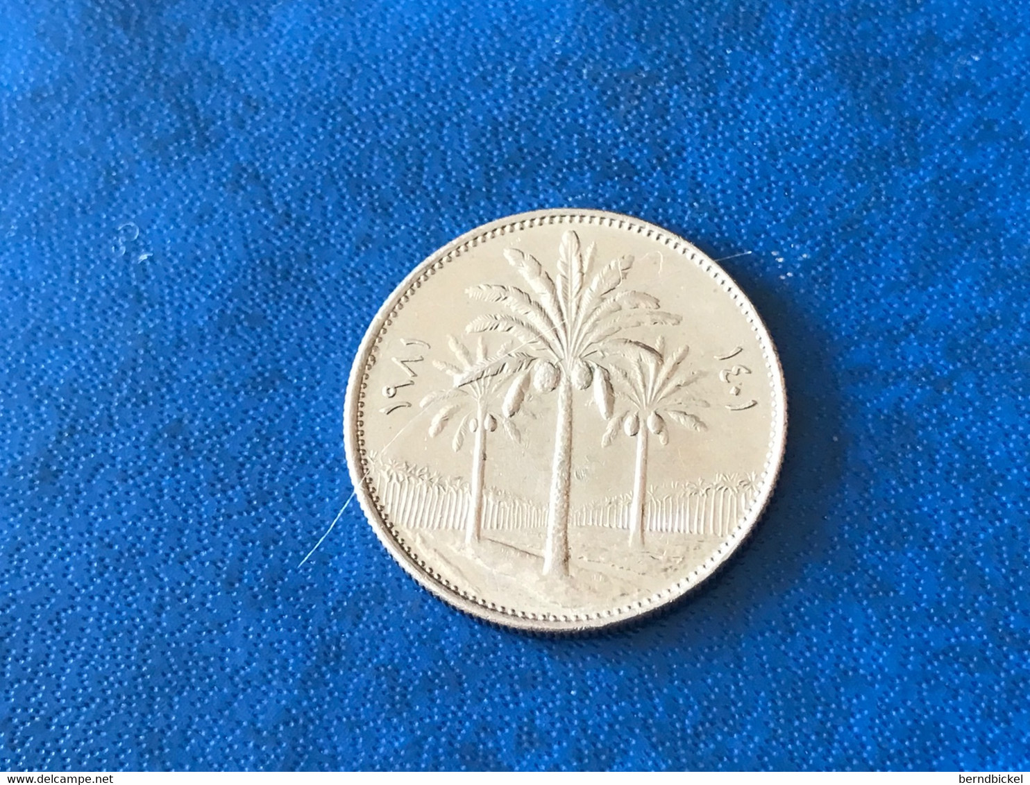 Münze Münzen Umlaufmünze Irak 25 Fils 1981 - Iraq