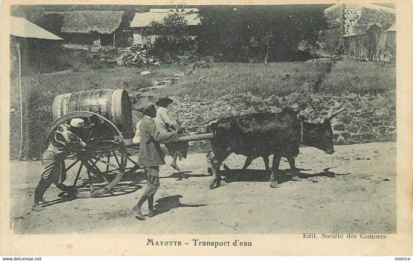 MAYOTTE - Transport D'eau.(carte Vendue En L'état) - Mayotte