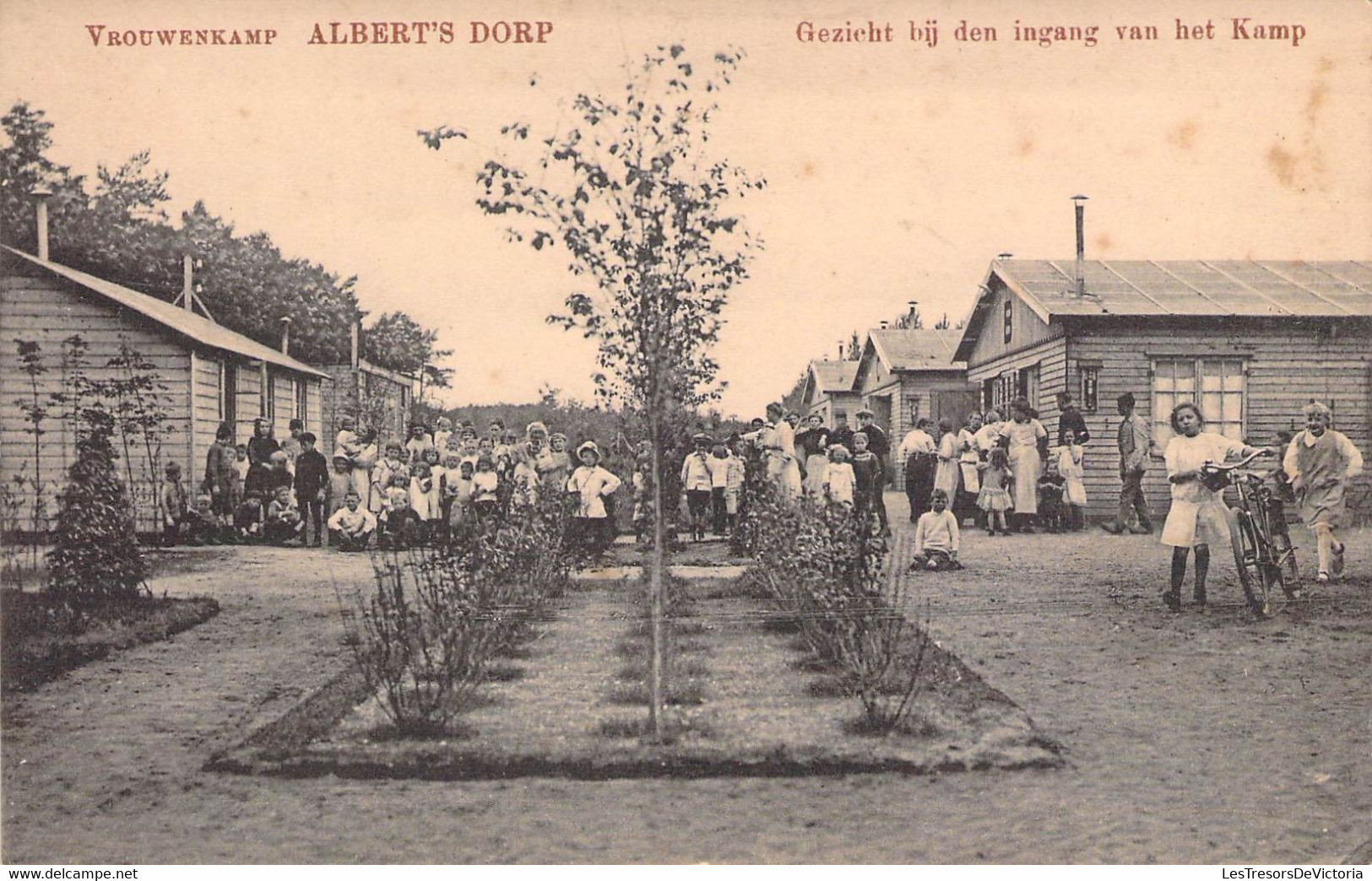 CPA Vrouwenkamp - Albert's Dorp - Gezicht Bij Den Ingang Van Het Kamp - Groupes D'enfants - Zeist