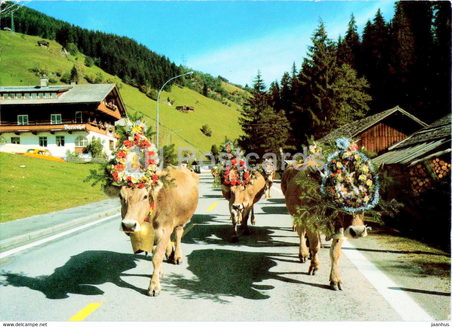 Almabtrieb Bei Gerlos - Zillertal - Cow - Animals - 1988 - Austria - Used - Sölden