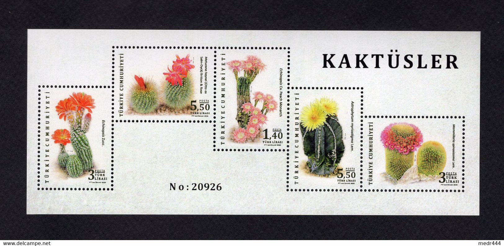 Turkey/Turquie 2020 - Cactus - Minisheet - Souvenir Sheet - MNH** - Superb*** - Lettres & Documents