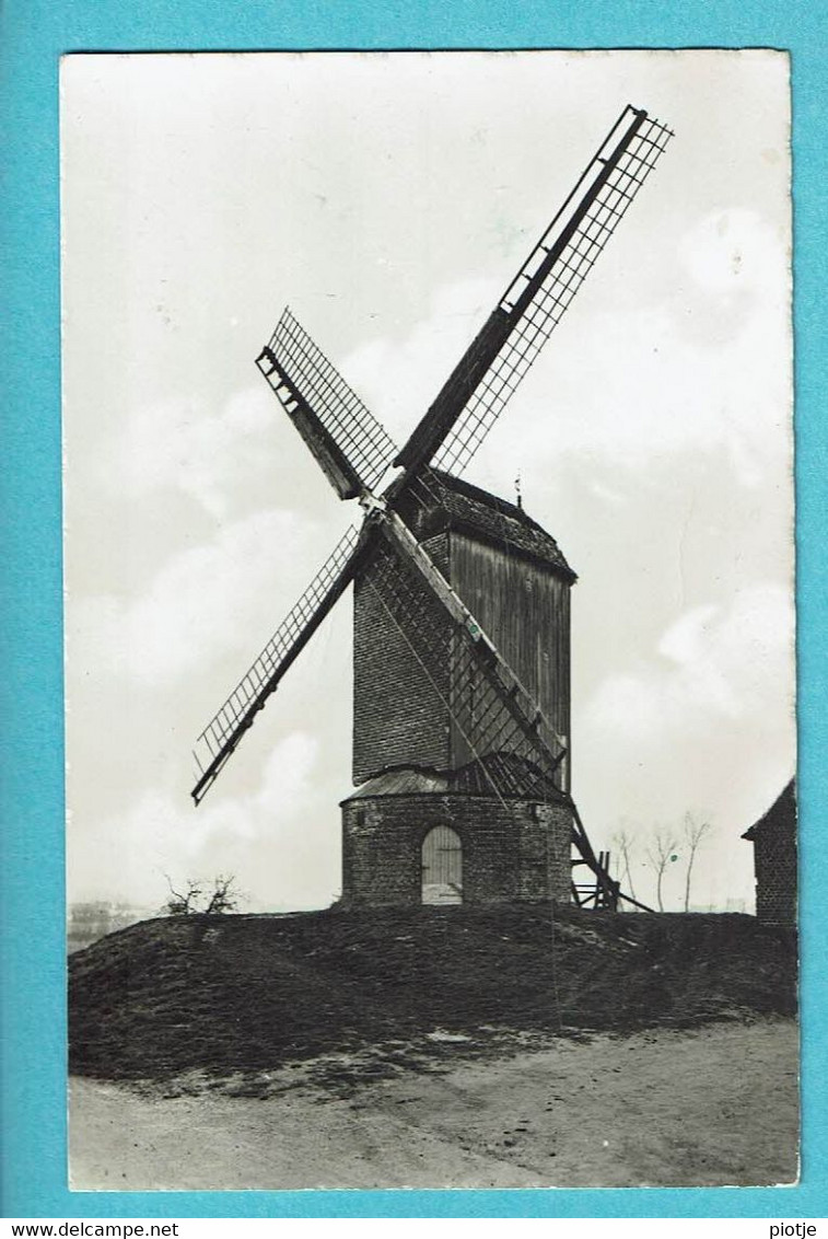 * Zarren - Kortemark (West Vlaanderen) * (Uitg A. Vermeire) Carte Photo - Fotokaart, Lindemolen, Moulin, Molen Wulleput - Kortemark