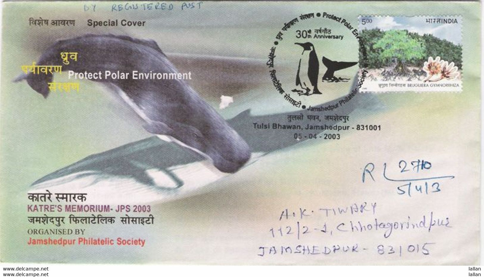 "Protect Polar Environment"-Spl. Cover And Postmark-Regd. Mail, Whale, Penguin, India, 2003, Condition As Per Scan - Andere & Zonder Classificatie