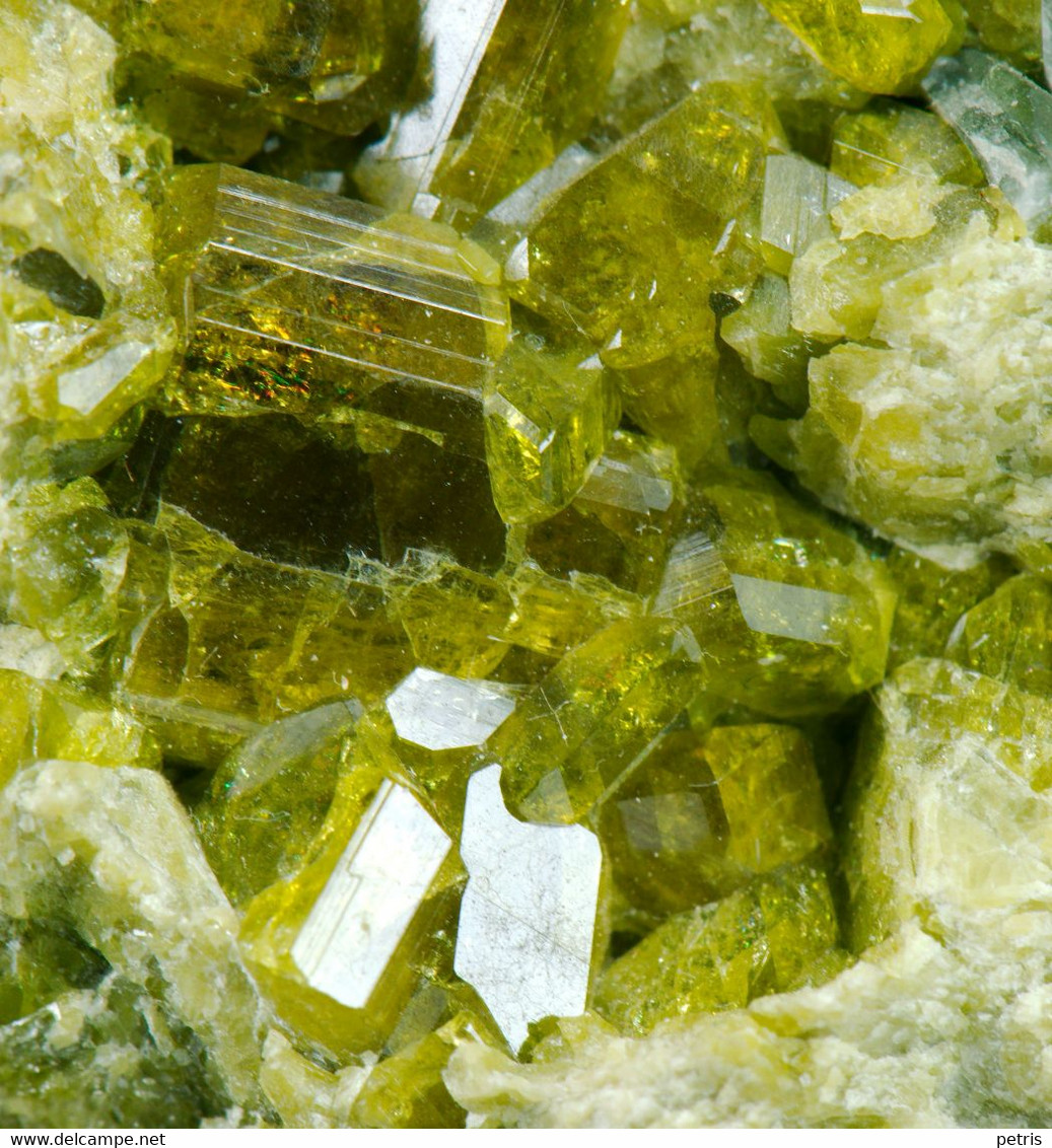Mineral - Epidoto, Qualità Gemma (Val Malenco, Sondrio, Italia) - Lot. S 782 - Minéraux
