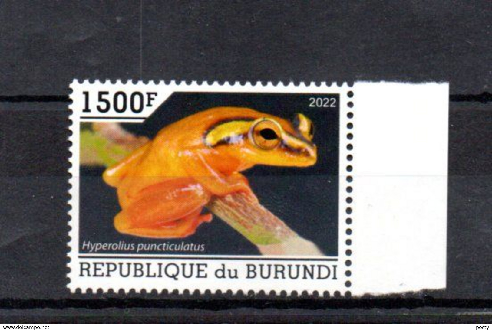 BURUNDI - 2022 - HYPERALIUS PUNCTICULATUS - GRENOUILLES - FROGS - FROSCH - - Ongebruikt