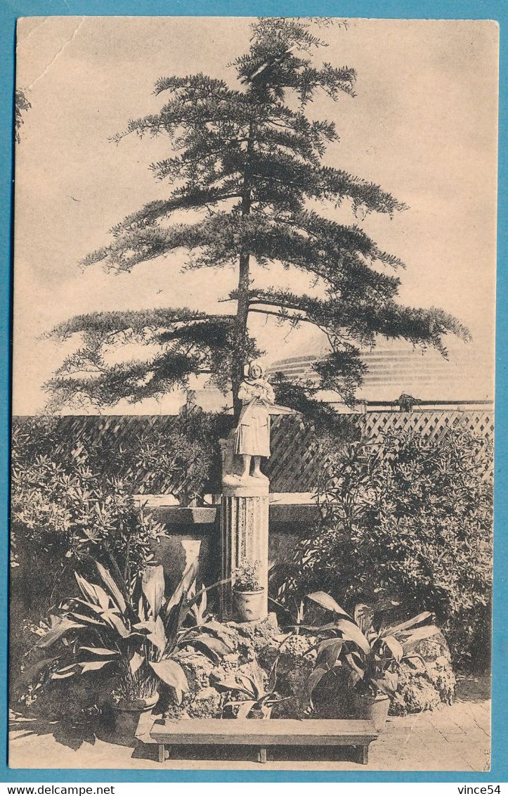 ROME - Séminaire Français. Sur Les Terrasses, Statue De Sainte Jeanne D'Arc. Au Fond, Le Dôme Du Panthéon. - Onderwijs, Scholen En Universiteiten