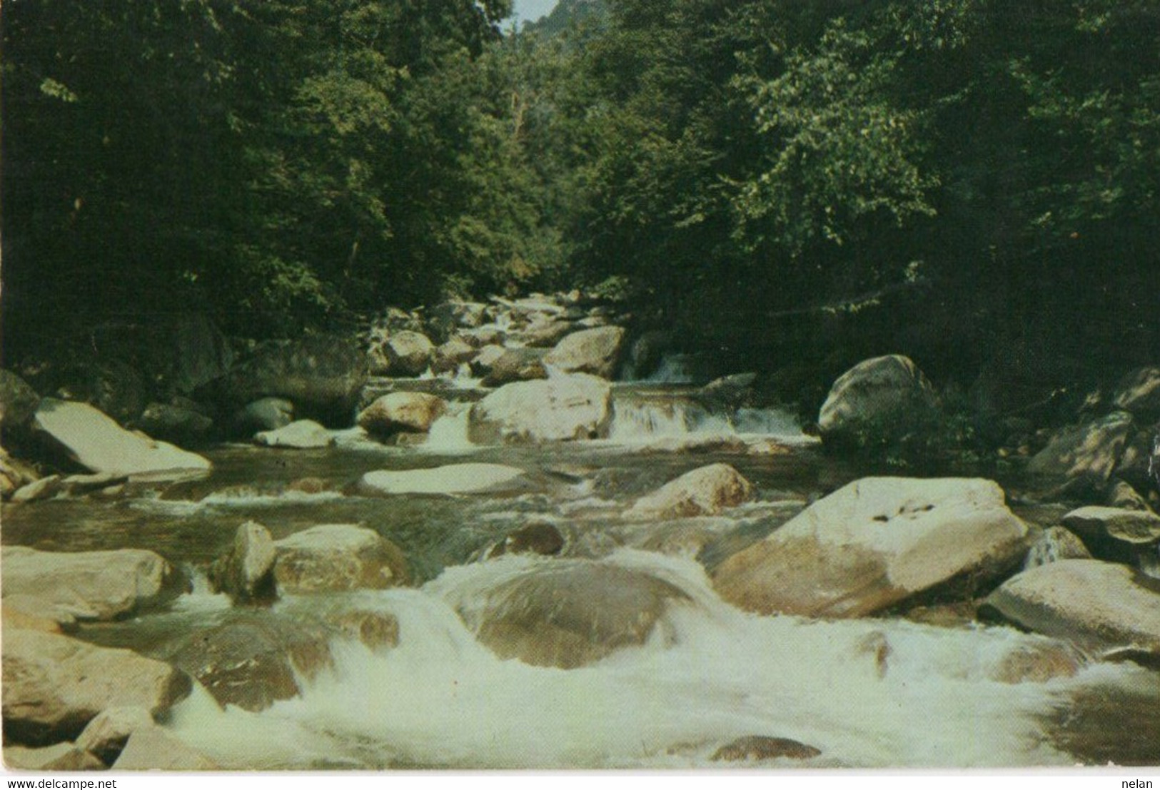 LITTLE PIGEON RIVER   - F.P. - STORIA POSTALE - Smokey Mountains