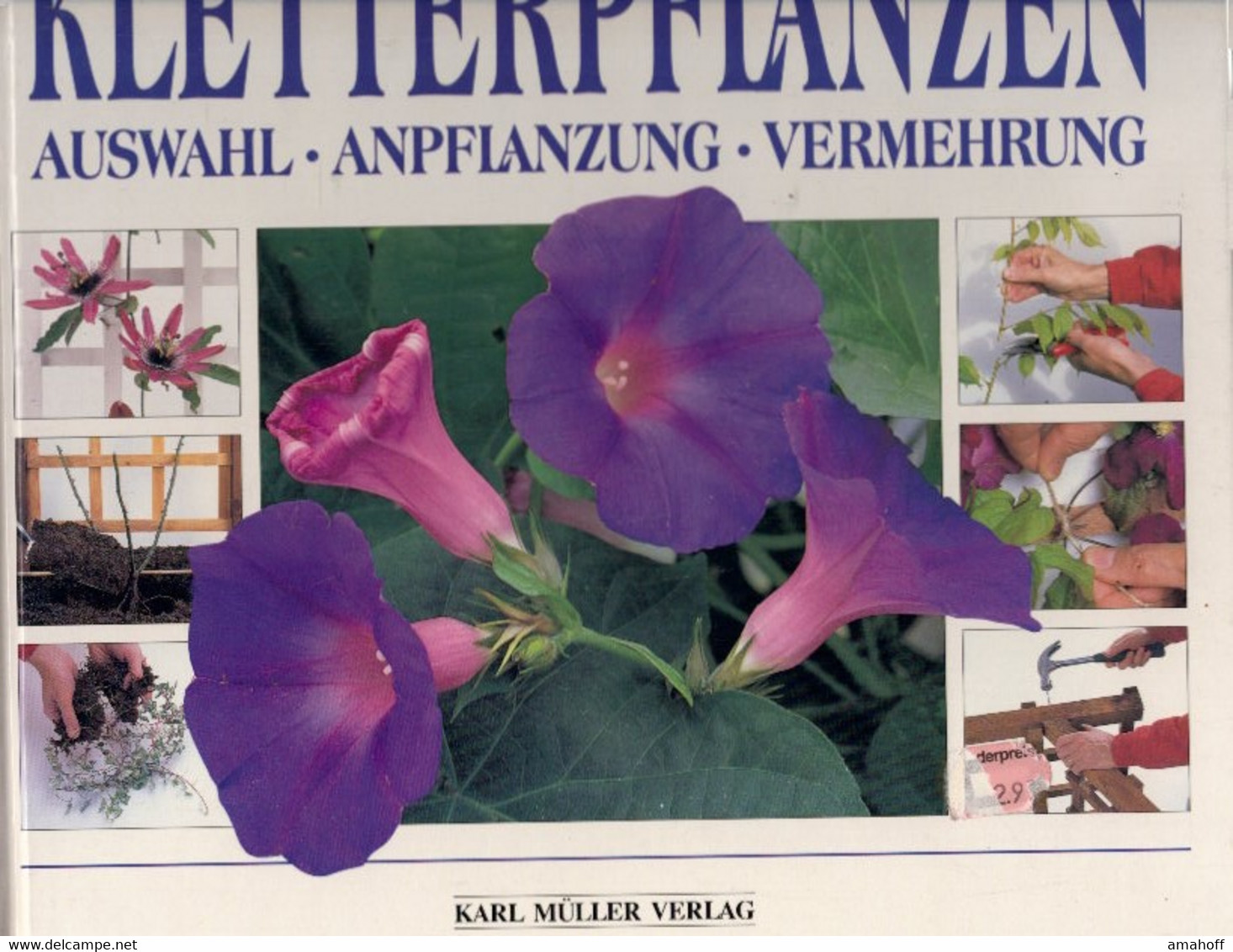 Kletterpflanzen. Auswahl, Anpflanzung, Vermehrung - Natuur