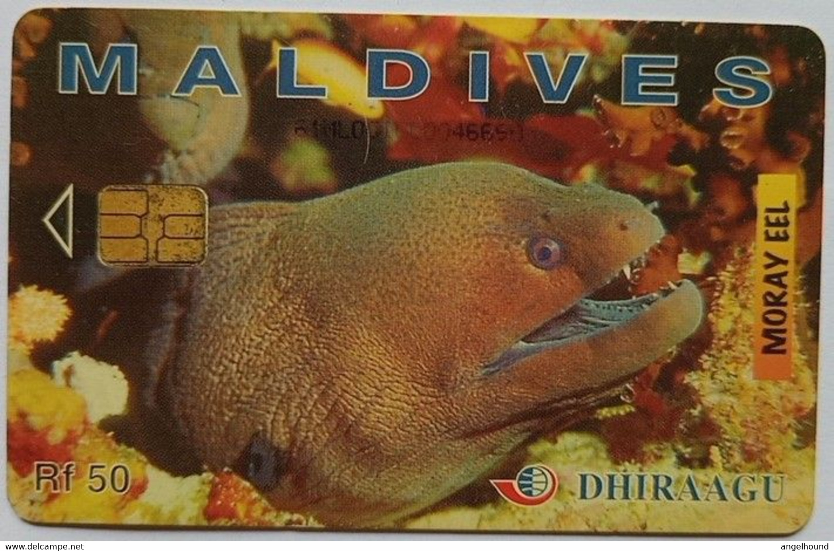 Maldives Chip Card 61M:DGIA Rf.50 " Moray Eel : - Maldives