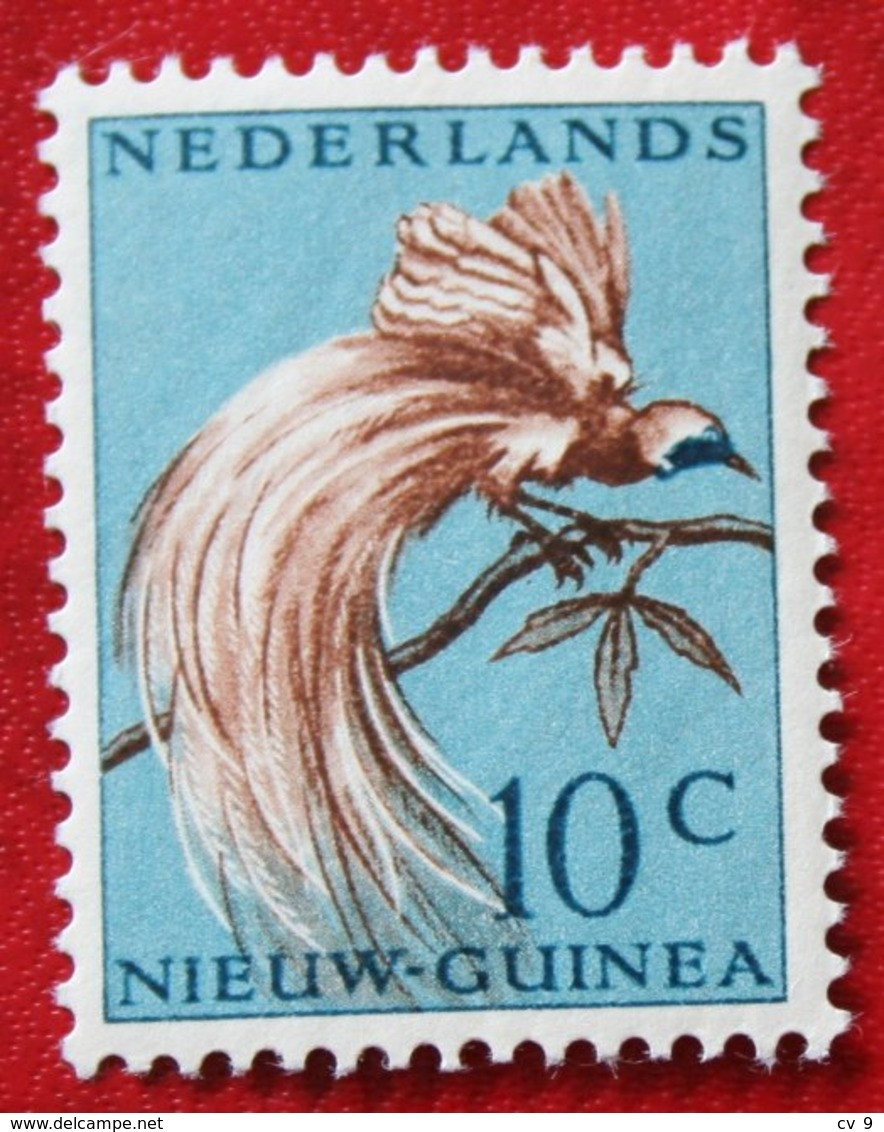 10 Ct Paradijsvogels Birds Vogel NVPH 27 1954 POSTFRIS MNH NIEUW GUINEA NIEDERLANDISCH NEUGUINEA NETHERLANDS NEW GUINEA - Niederländisch-Neuguinea