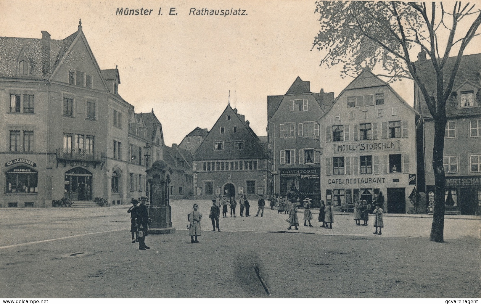 MÜNSTER ::  RATHAUSPLATZ        2 SCANS - Munster