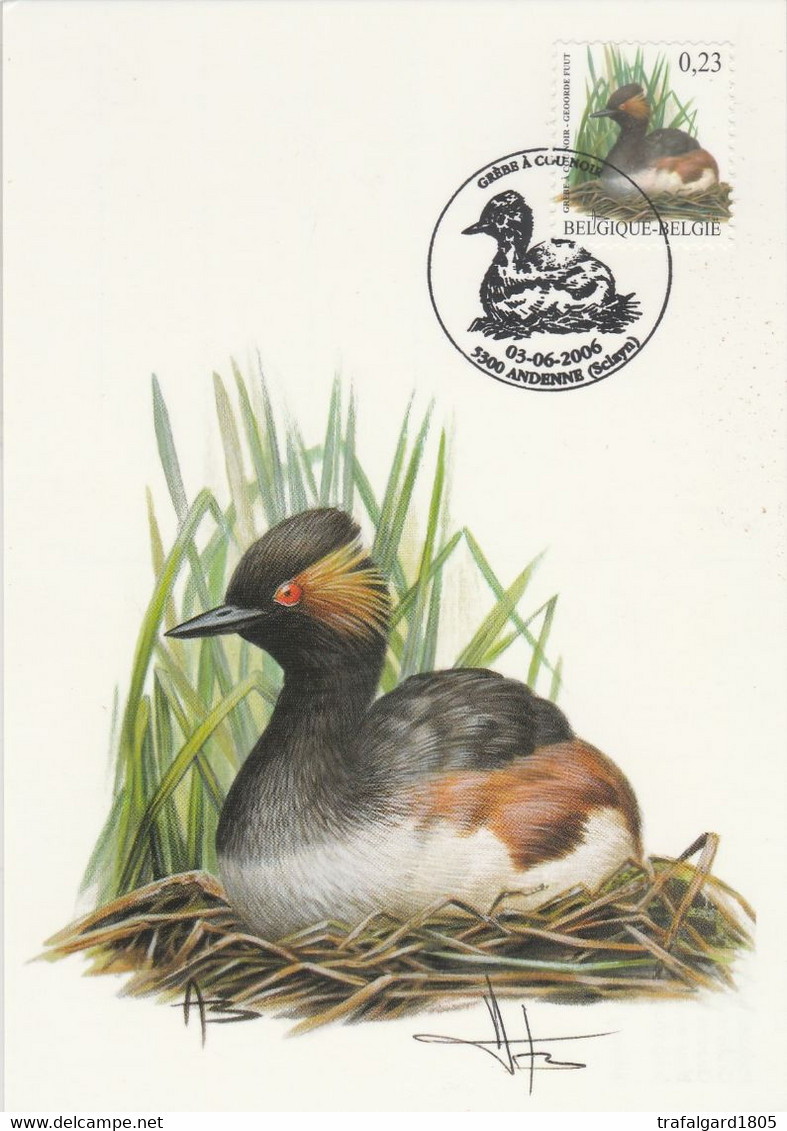 3546. BUZIN.LE GREBE A COU NOIR - 1985-.. Vögel (Buzin)