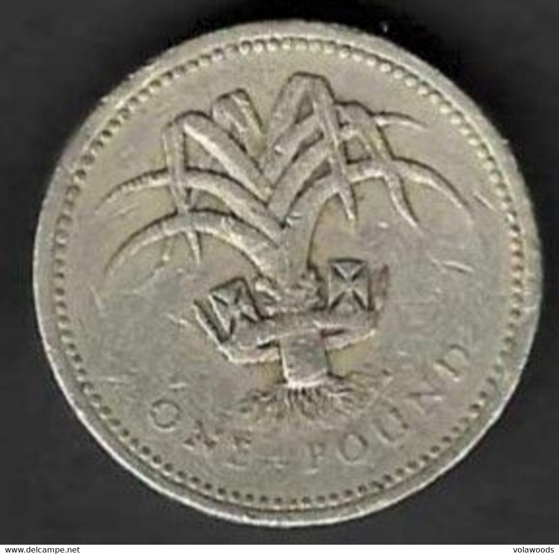 Regno Unito - Moneta Circolata Da 1 Pound "Leek Of Wales" Km941 - 1985 - 1 Pond