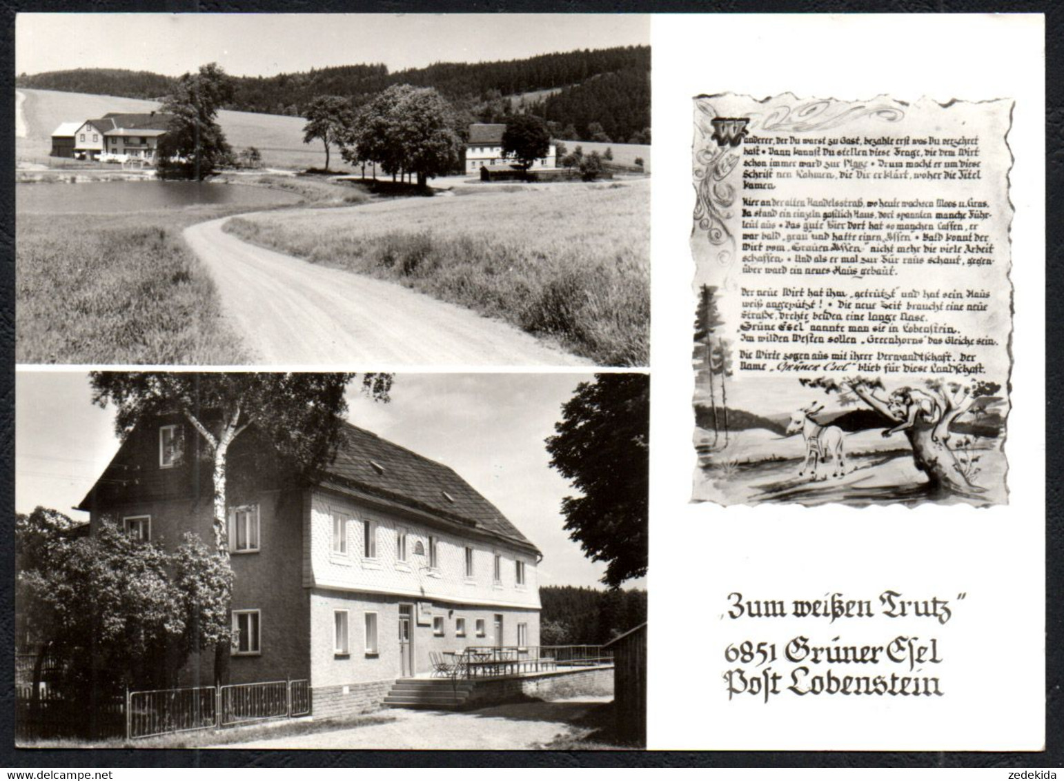 F5983 - Lobenstein Post  - Grüner Esel Gaststätte Zum Weißen Trutz - Verlag König - Lobenstein