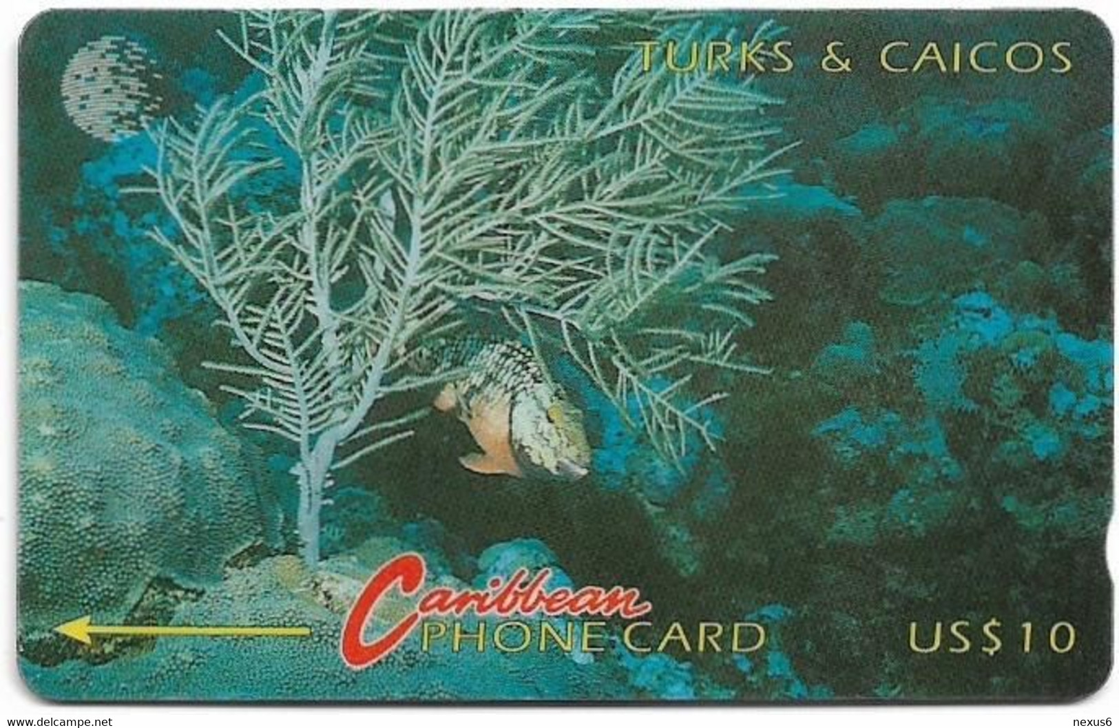 Turks & Caicos - C&W (GPT) - Redband Parrot Fish - 6CTCA - 1994, 10$, 20.000ex, Used - Turks & Caicos (Islands)