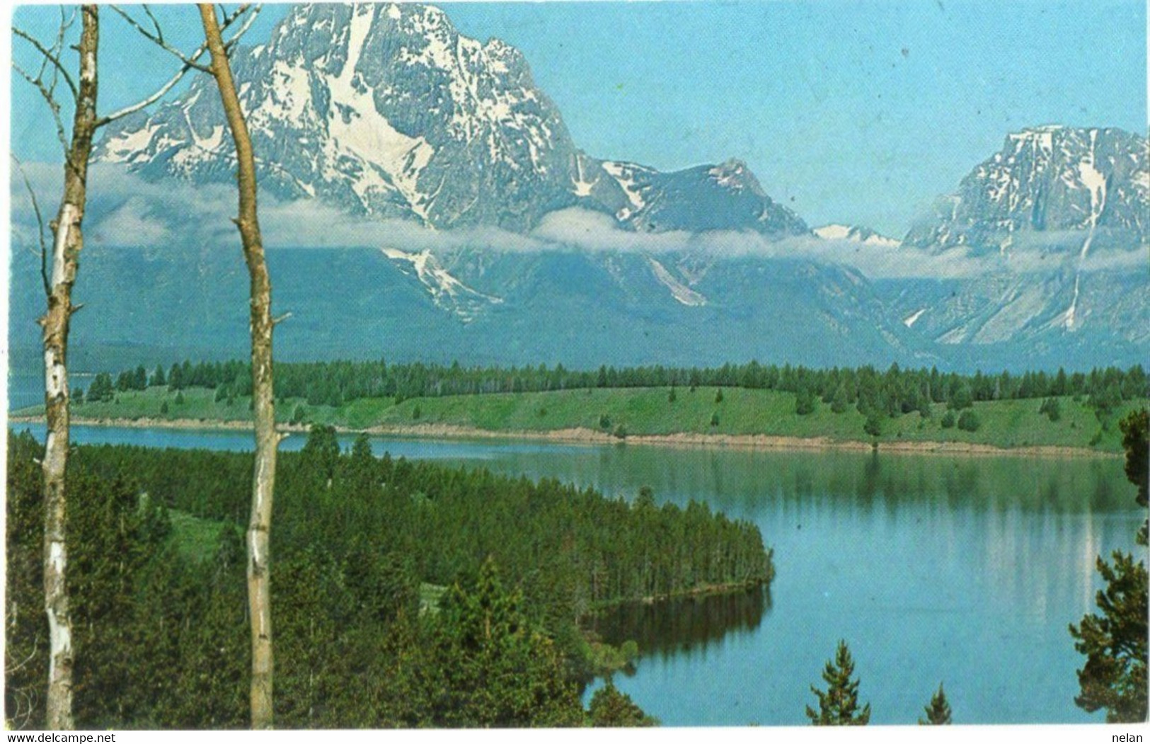 MT. MORAN AND JACKSON LAKE - IDAHO - F.P. - Yellowstone