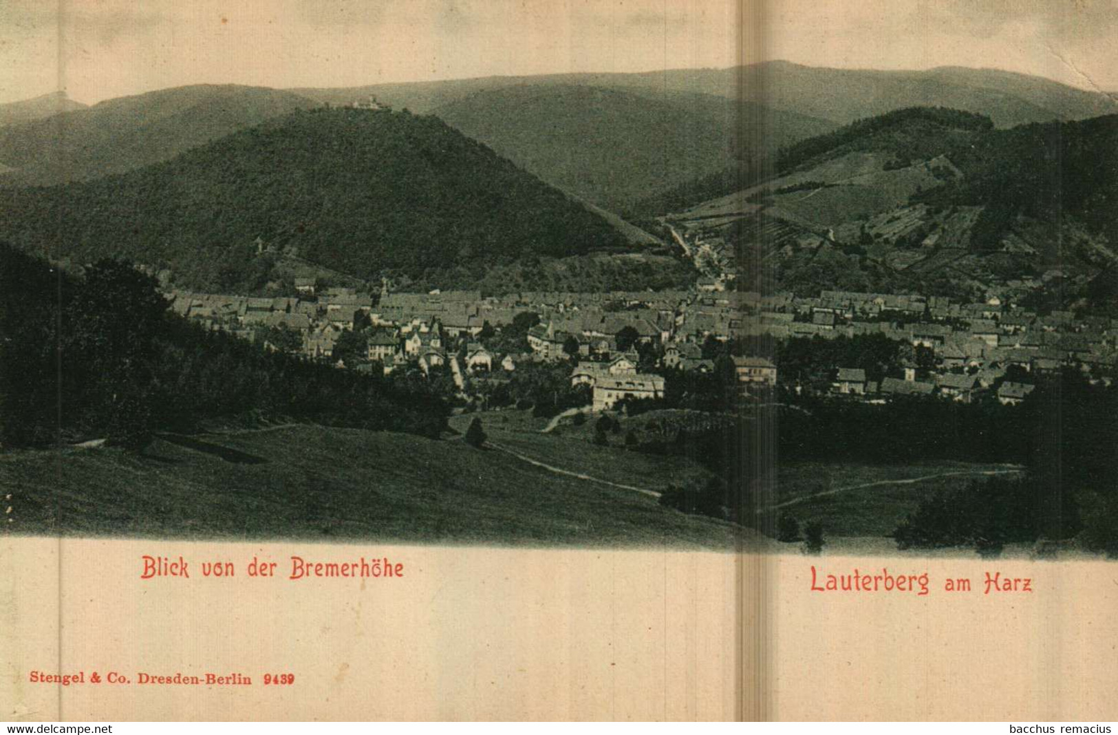 BAD LAUTERBERG Im HARZ Blick Von Der Bremerhöhe - Bad Lauterberg