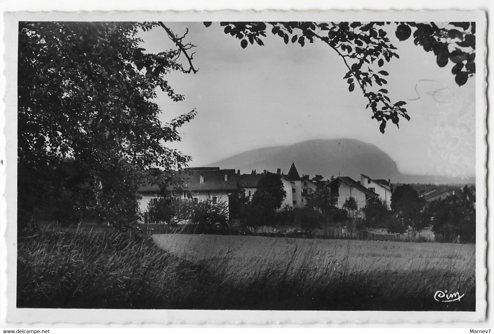 74 Hte Haute Savoie - St Saint CERGUES Les VOIRONS - Vue Sur Le Salève  - 1380 M - Saint-Cergues