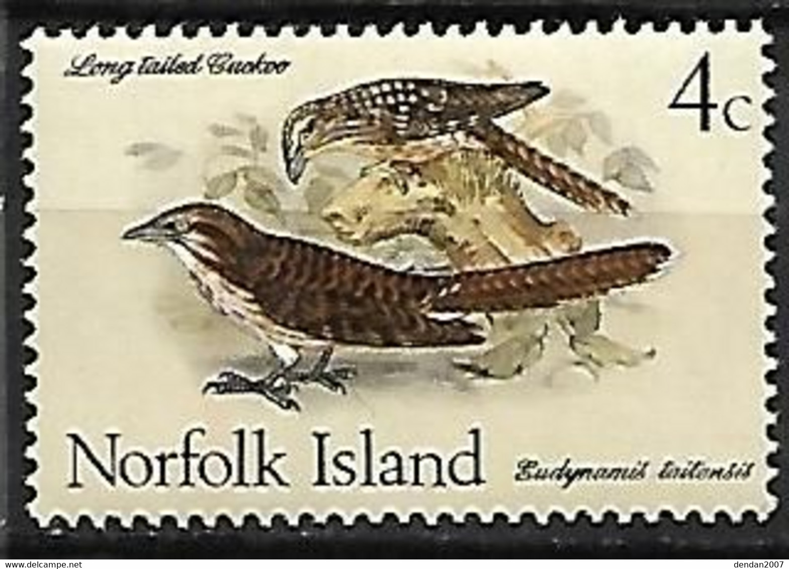 Norfolk Island : MNH ** 1970 :    Pacific Long-tailed Cuckoo  -  Urodynamis Taitensis - Coucous, Touracos