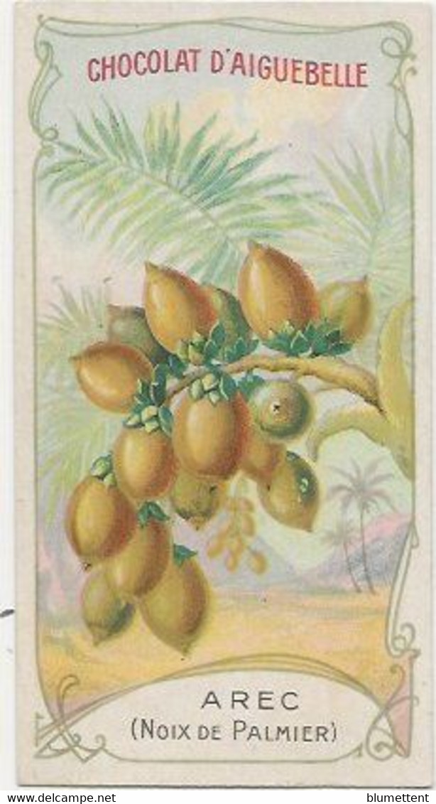 Chromo Aiguebelle 10,5 X 5.5 - Plante Fruit - Arec (noix De Palmier) - Aiguebelle