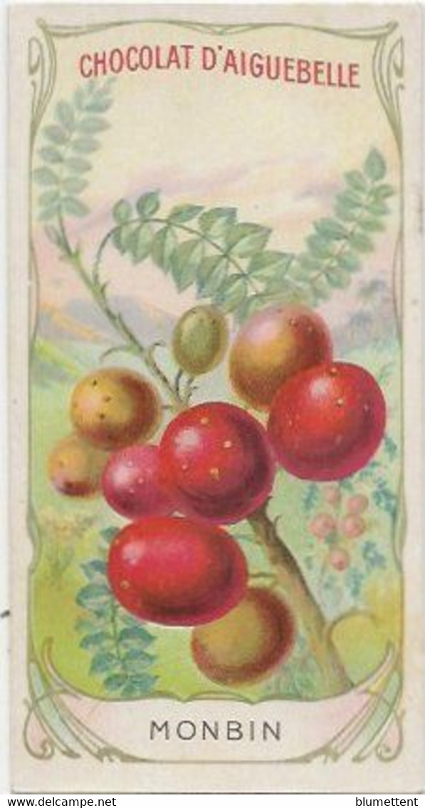 Chromo Aiguebelle 10,5 X 5.5 - Plante Fruit - Monbin - Aiguebelle