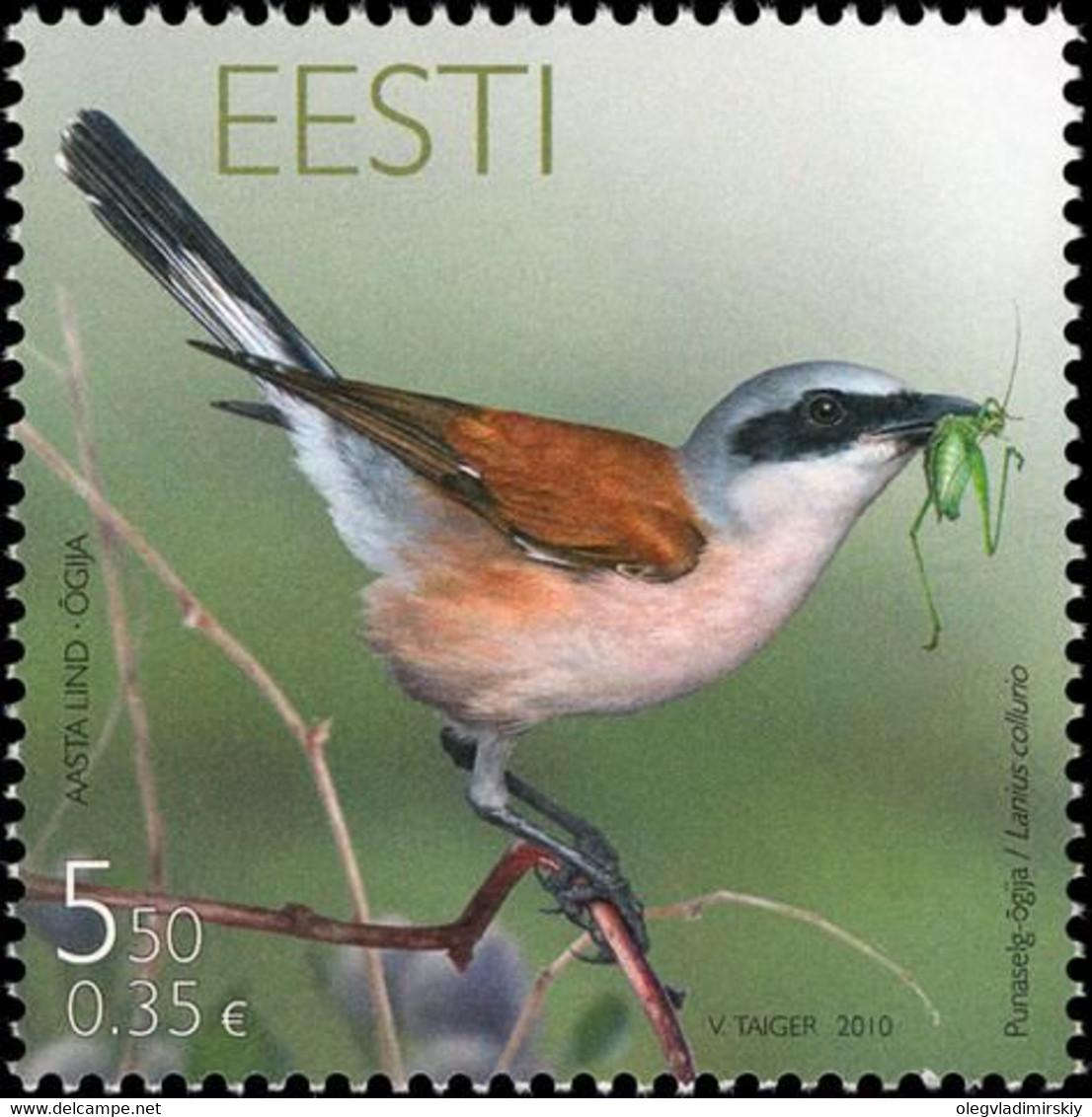 Estonia Estland 2010 Bird Of The Year The Red-back Shrike (Lanius Collurio) Stamp Mint - Cernícalo