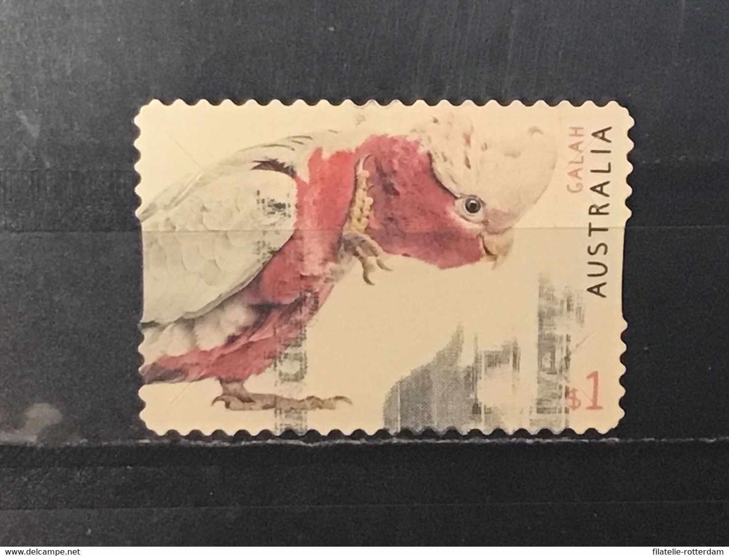 Australië / Australia - Australische Fauna (1) 2019 - Used Stamps