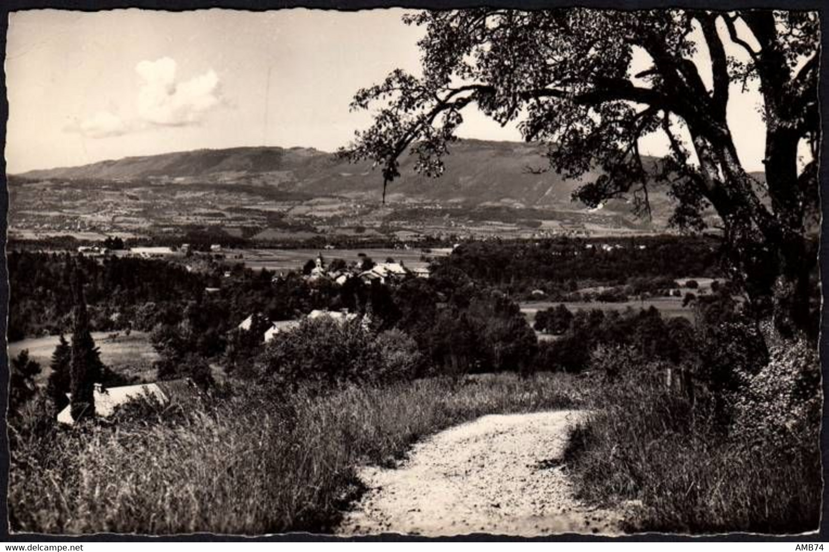 74-1091- Carte Postale Haute Savoie (74) - BONNE-SUR-MENOGE - Vue Générale - Bonne