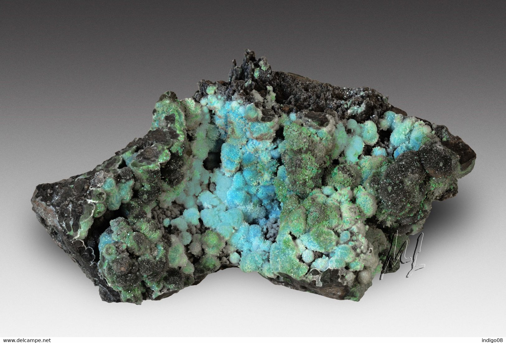 Chrysocolle Chili - Minéraux