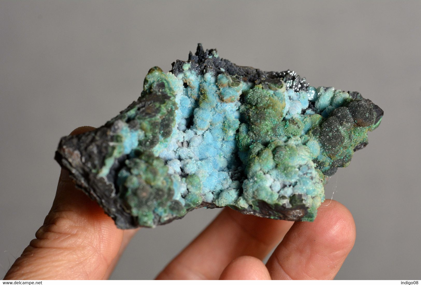 Chrysocolle Chili - Minéraux