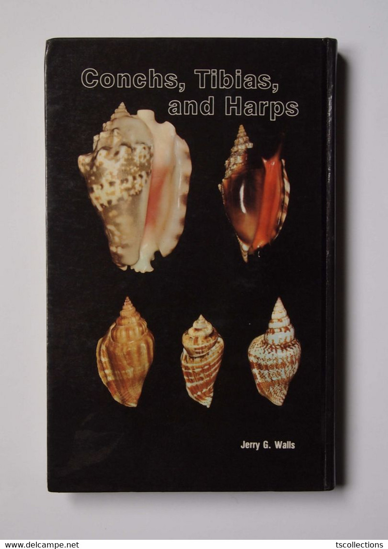 Conchs, Tibias, And Harps - Fauna