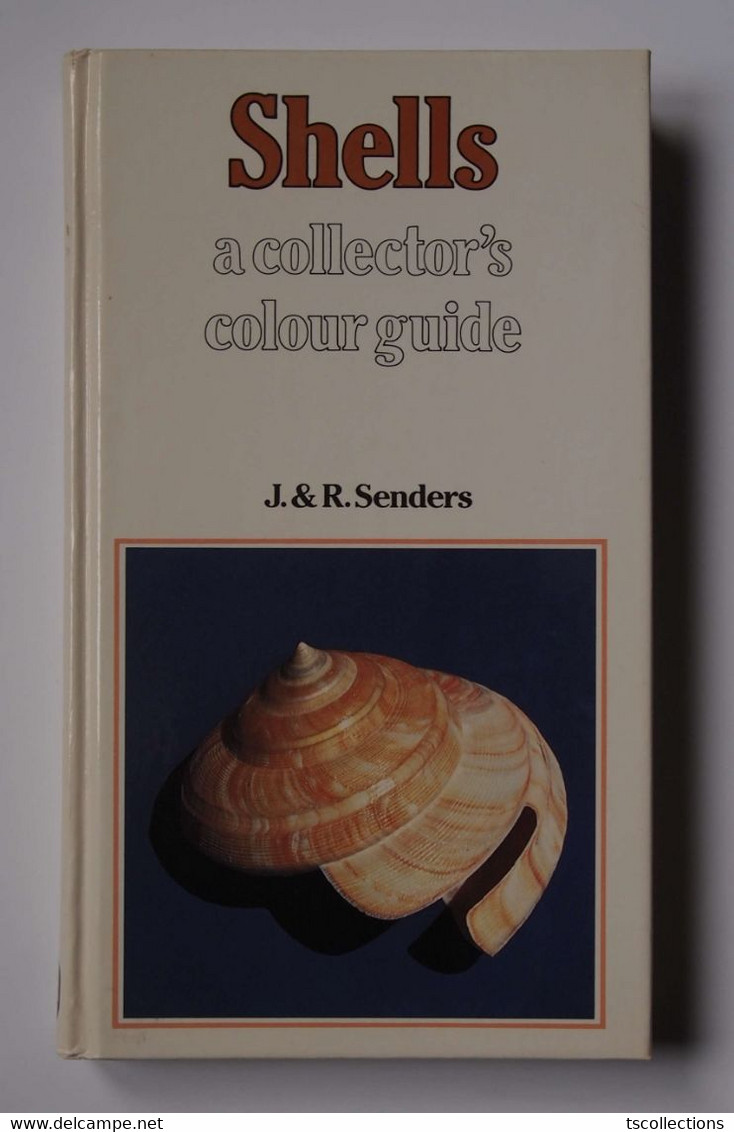 Shells A Collector's Guide - Vida Salvaje