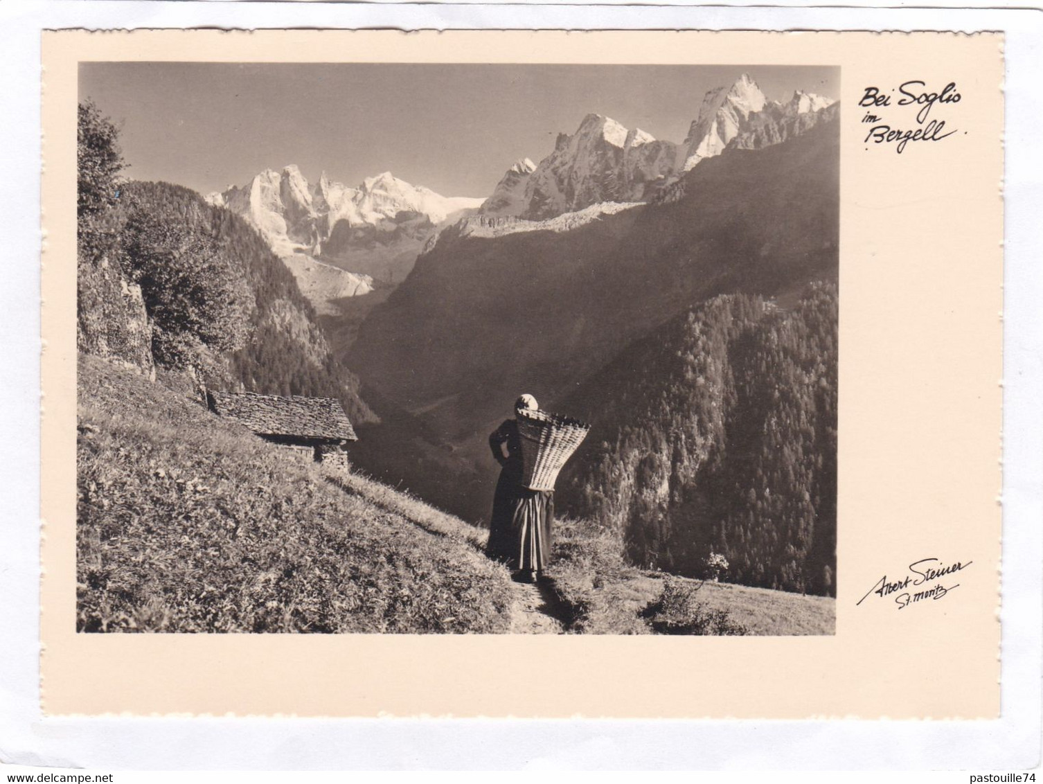 Carte Photo : 15 X 10,5  -  Bei  Soglio  Im  Bergell  De  Albert Steiner,  St-Moritz - Soglio