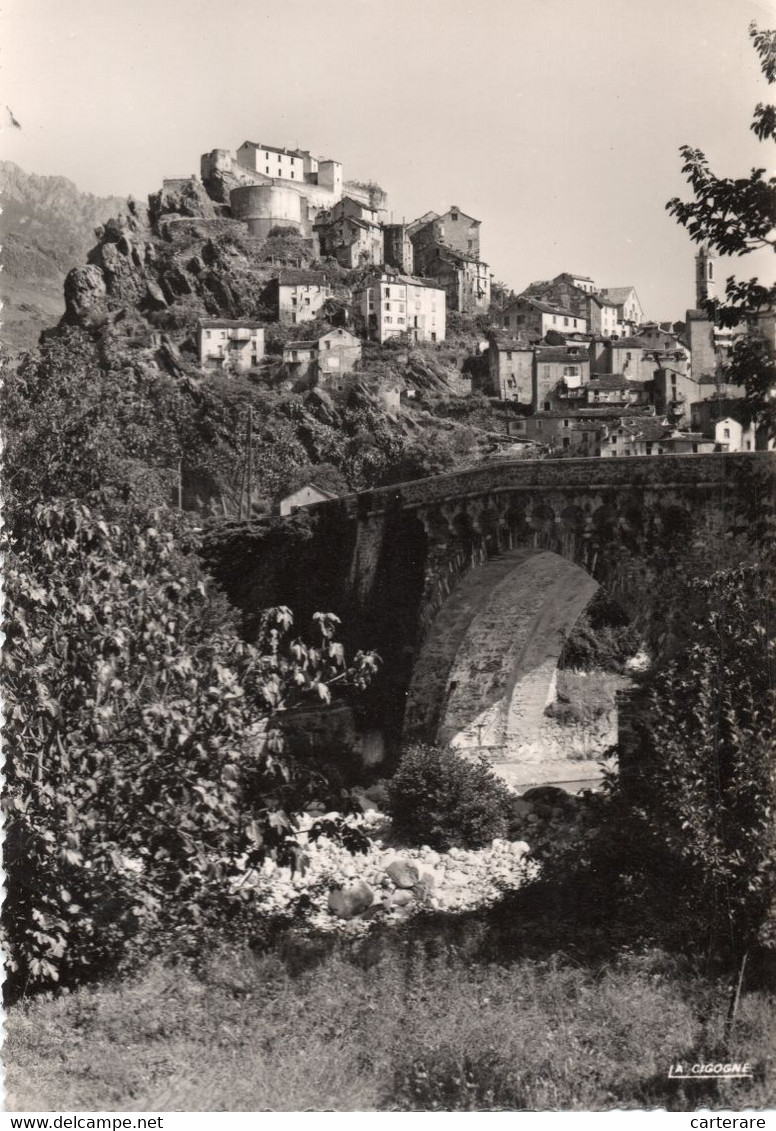 HAUTE CORSE,CORSICA,CORTI,CORTE,CARTE PHOTO LA CIGOGNE - Corte