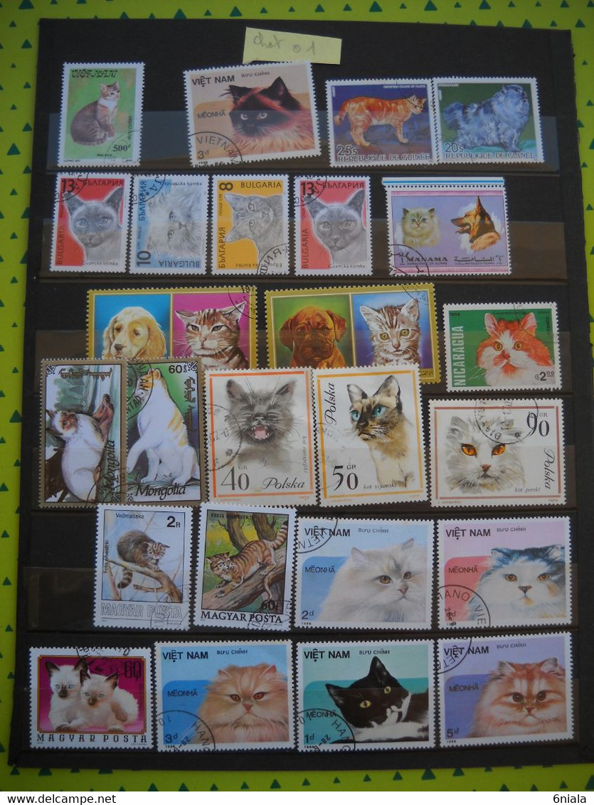 10656 Lot De  TIMBRES CHATS FELINS     TBE  Bon Etat - Felinos