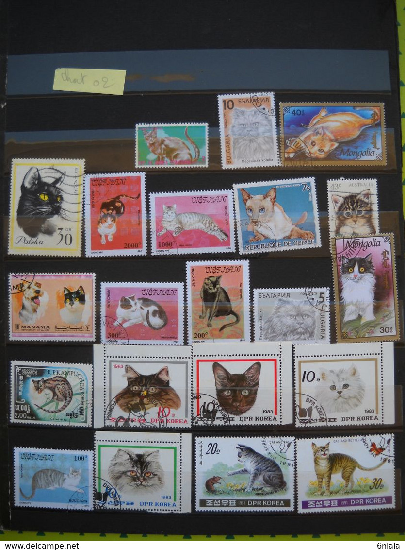 10657 Lot De  TIMBRES CHATS FELINS     TBE  Bon Etat - Big Cats (cats Of Prey)