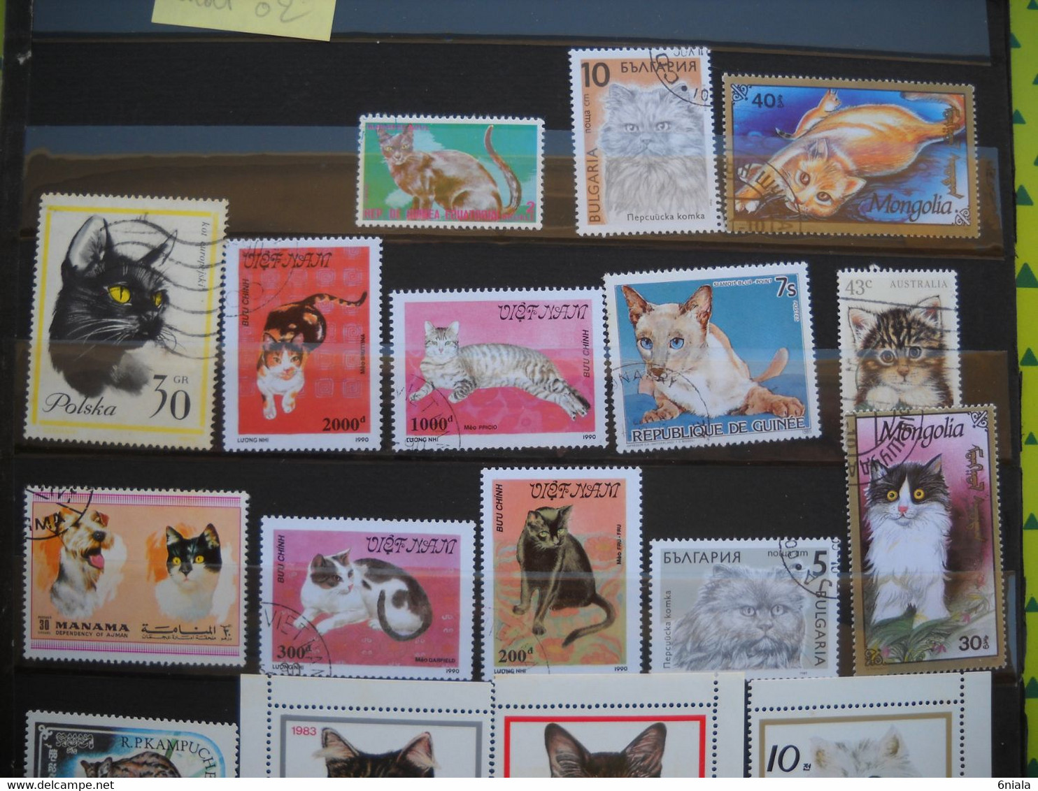 10657 Lot De  TIMBRES CHATS FELINS     TBE  Bon Etat - Felini