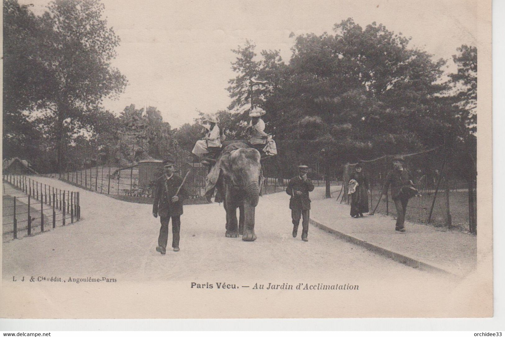 CPA Précurseur Paris - Paris Vécu - Au Jardin D'Acclimatation (très Jolie Scène Avec éléphant) - Parks, Gärten