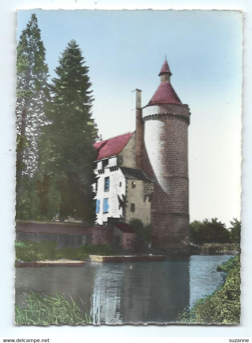 CHENERAILLES - Château D'Étangsannes - N°9 Ed. Du Moulin - Chenerailles